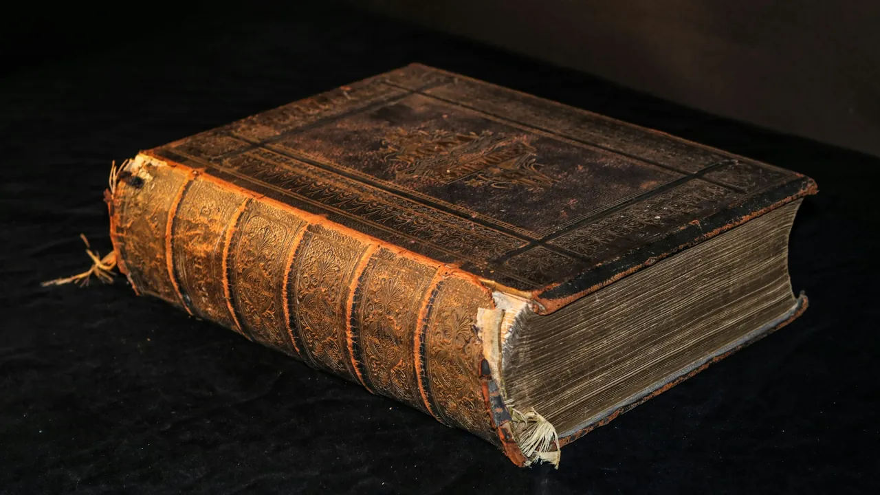 Koyu bir örtünün üzerinde duran, kabartma kapaklı ve yaldızlı sırtlı, eski ve deri ciltli bir kitap